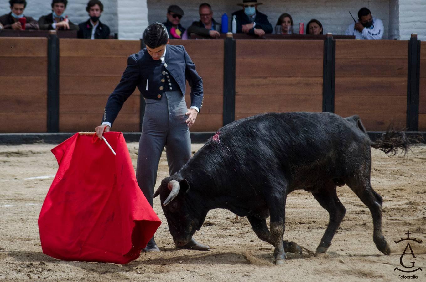 Festival taurino celebrado en Ecuador, en imágenes