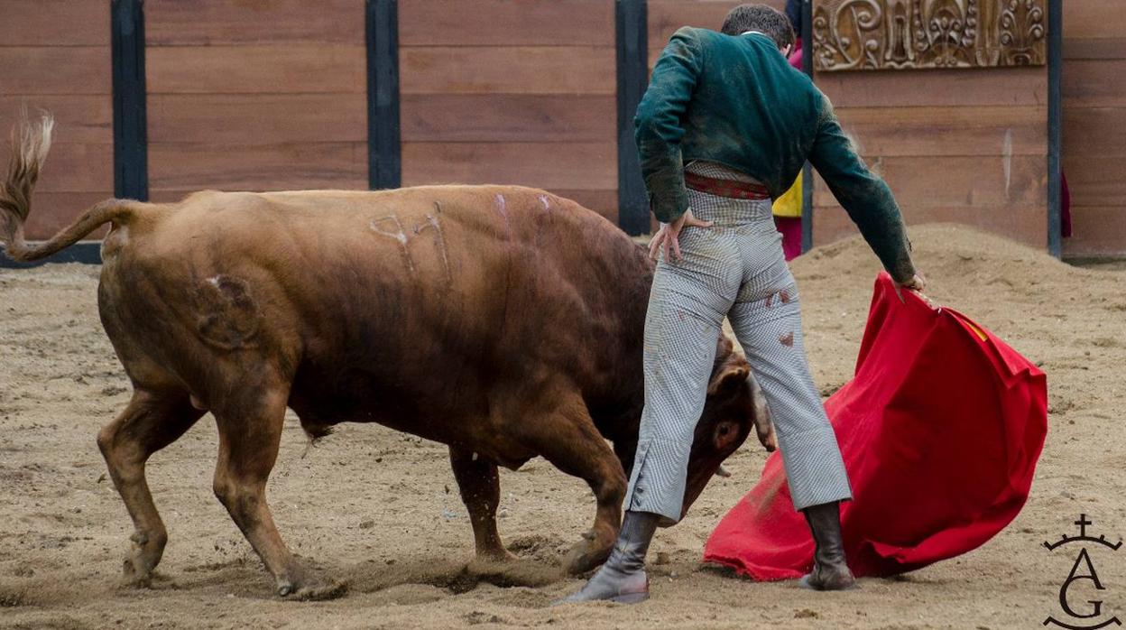 Festival taurino celebrado en Ecuador, en imágenes