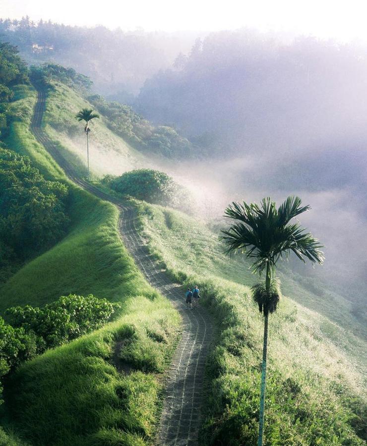 Meditación en Bali. El país asiático es otro de los puntos clave exentos de covid gracias al cierre de sus fronteras (que esperamos que el próximo año se vuelvan a abrir). Tanto si buscas turismo como parajes exóticos o hacer surf, de lo que estamos seguros es de que te va a enamorar.