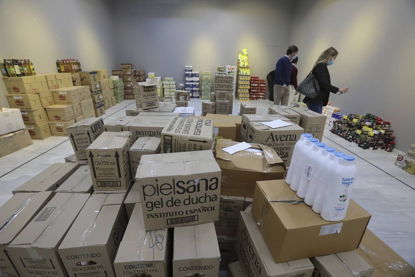 Recogida de alimentos en el Ateneo de Sevilla