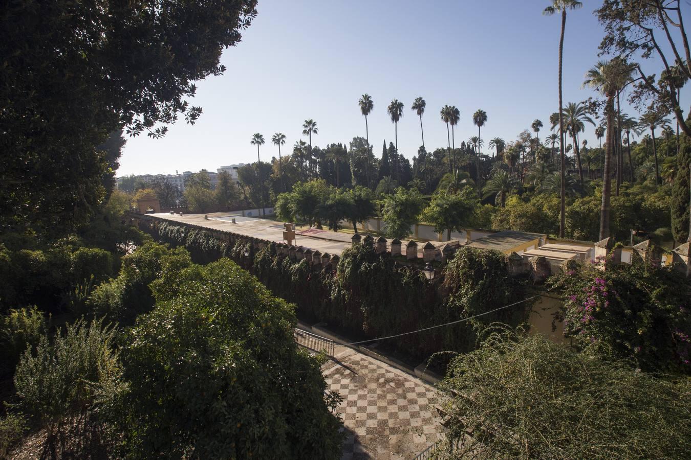 Santa Cruz, un barrio desierto