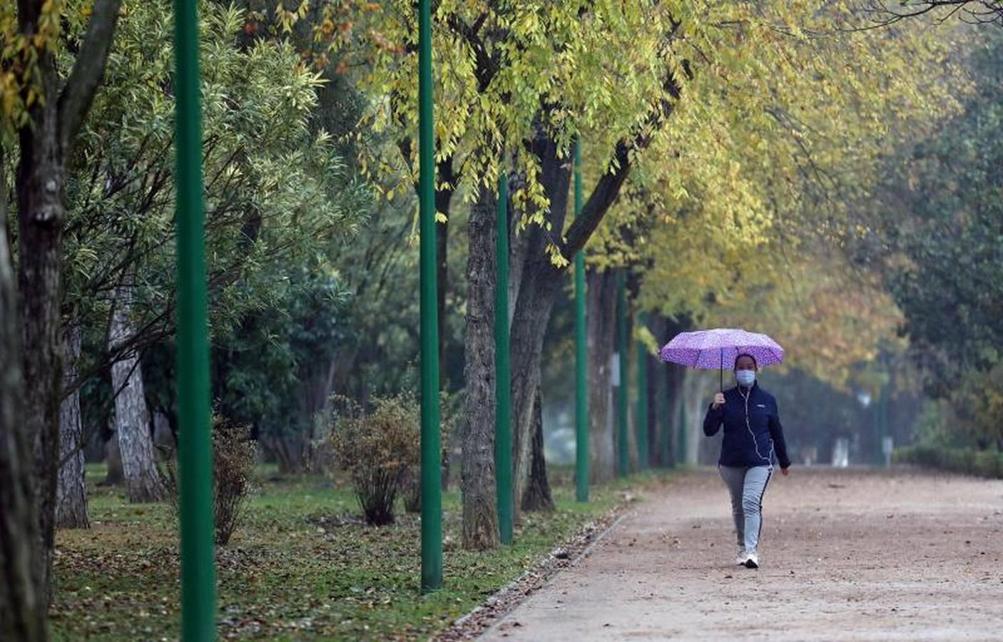 Los corredores que desafían al frío de Córdoba, en imágenes