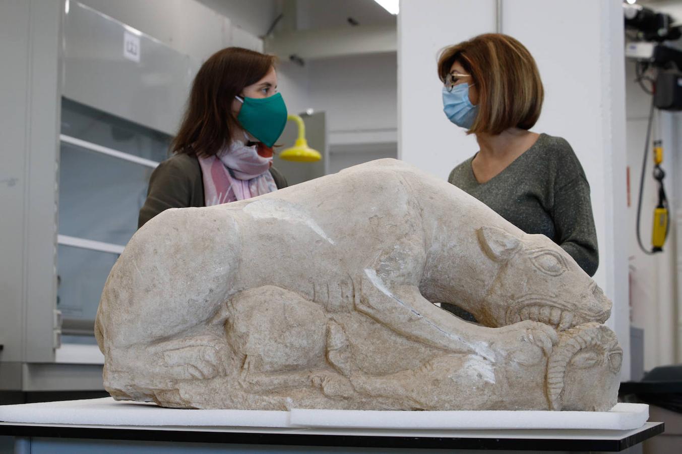 Las leonas iberas de Córdoba, en imágenes