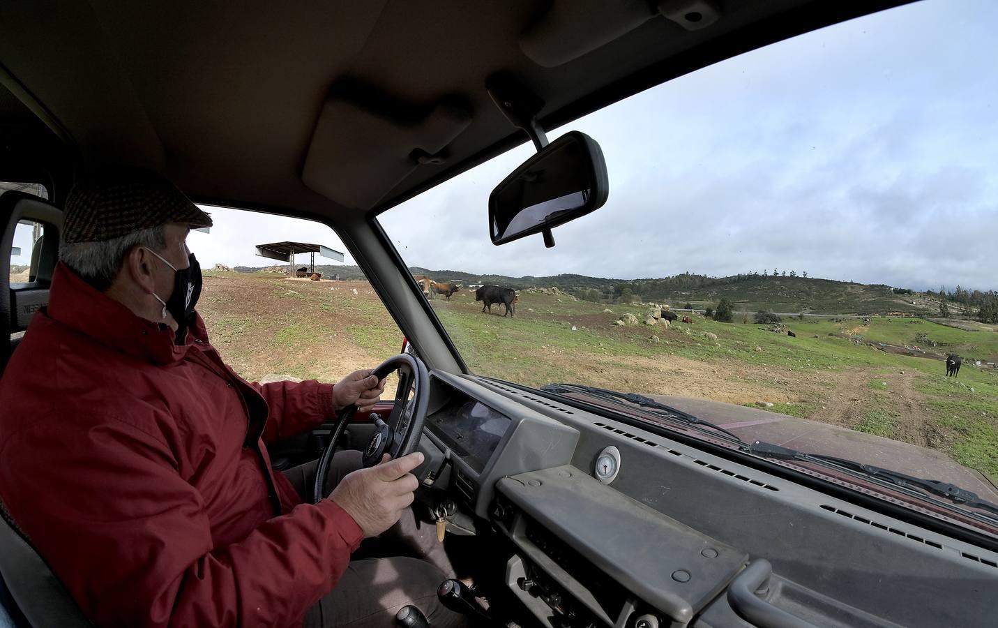 Fotogalería: La pandemia también se lleva por delante el turismo taurino