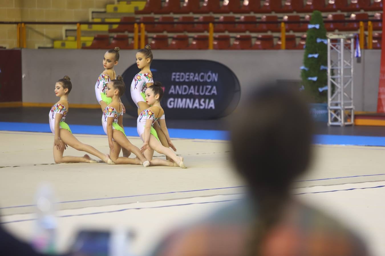 El torneo Lourdes Mohedano de gimnasia rítmica, en imágenes