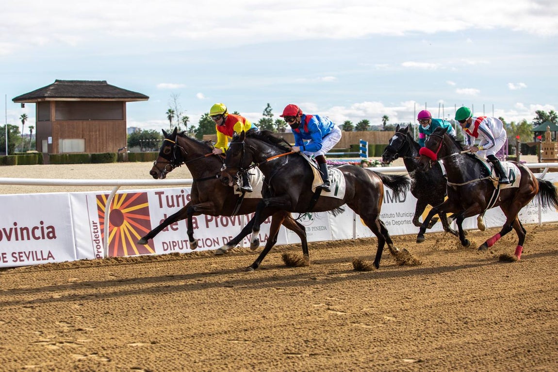 Fotogalería: Vuelven las carreras de caballos al Real Club Pineda