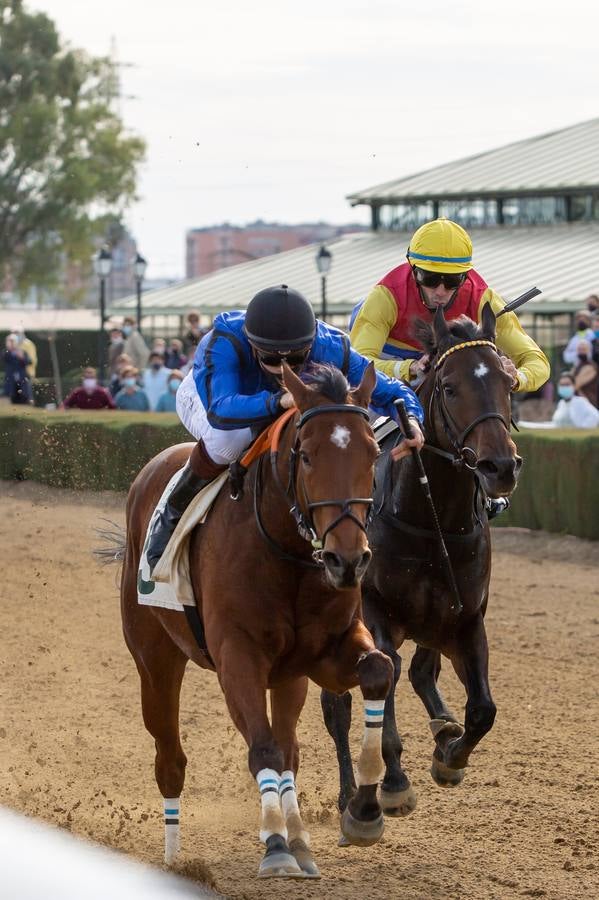 Fotogalería: Vuelven las carreras de caballos al Real Club Pineda