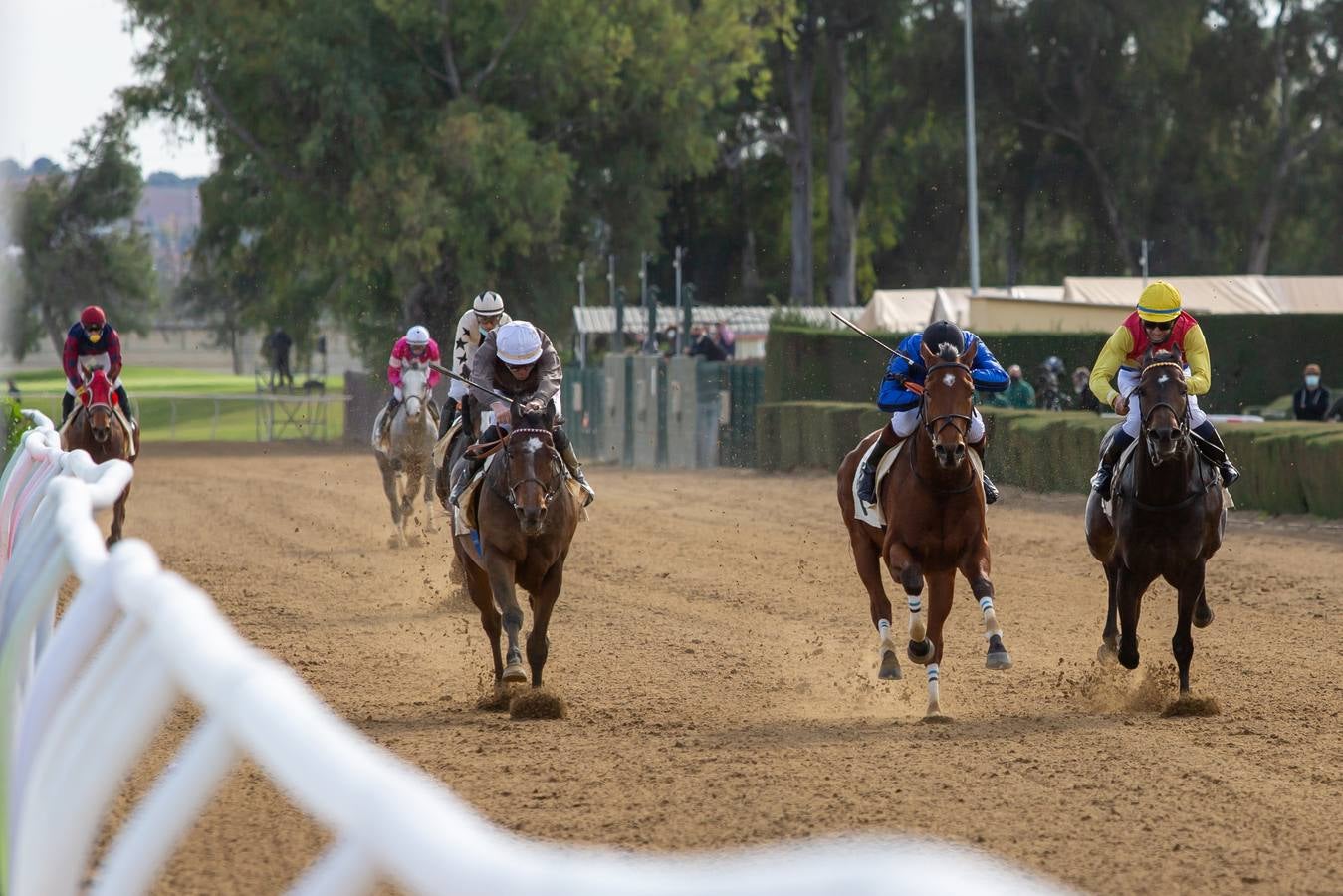 Fotogalería: Vuelven las carreras de caballos al Real Club Pineda