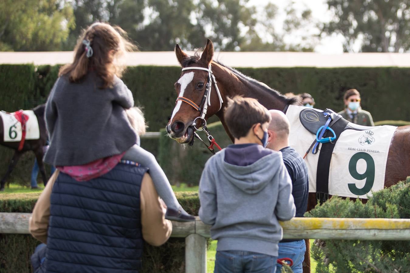 Fotogalería: Vuelven las carreras de caballos al Real Club Pineda