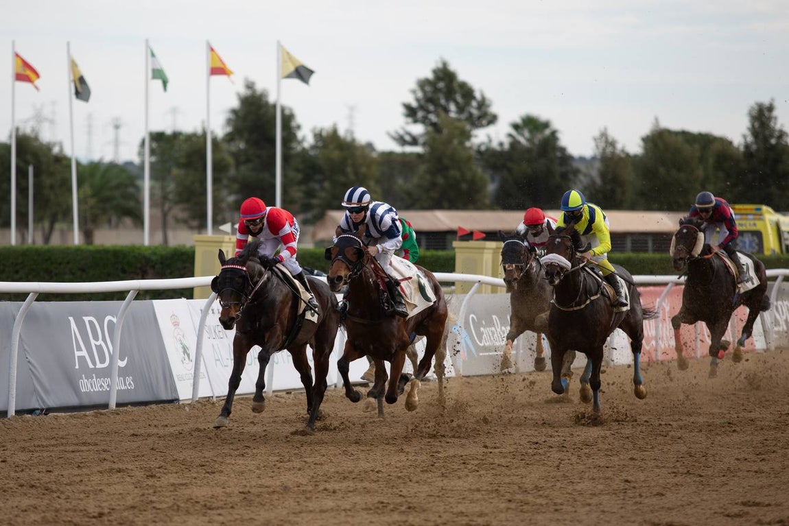 Fotogalería: Vuelven las carreras de caballos al Real Club Pineda