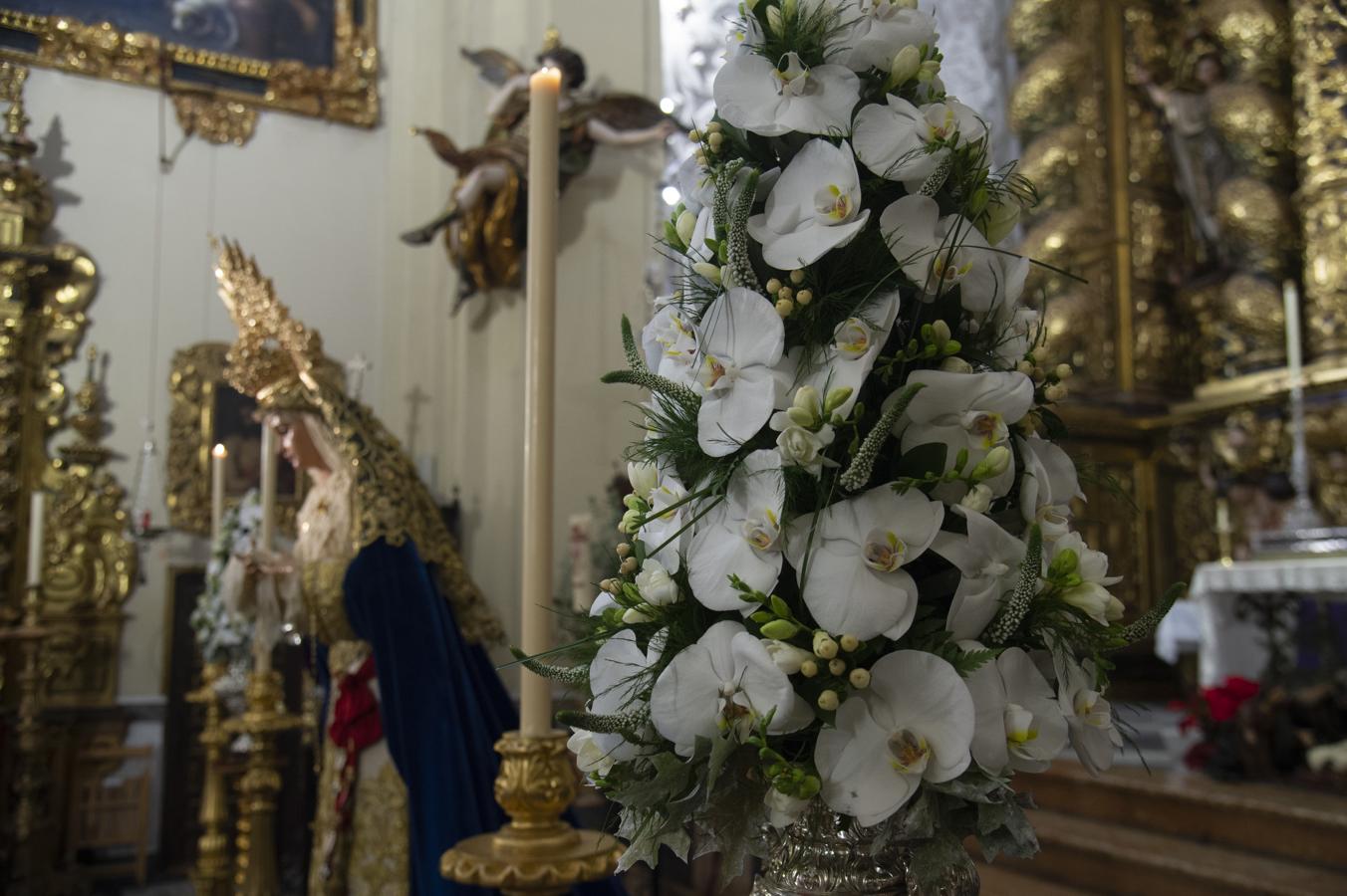 La Virgen de Guadalupe de las Aguas, de San Buenaventura y Santa Lucía