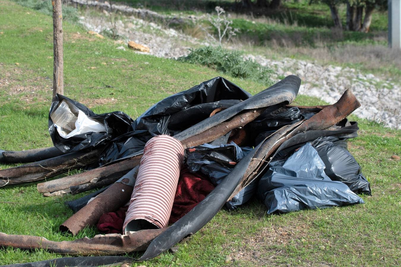 En imágenes, los vecinos de Bellavista limpian los alrededores del Cortijo de Cuarto