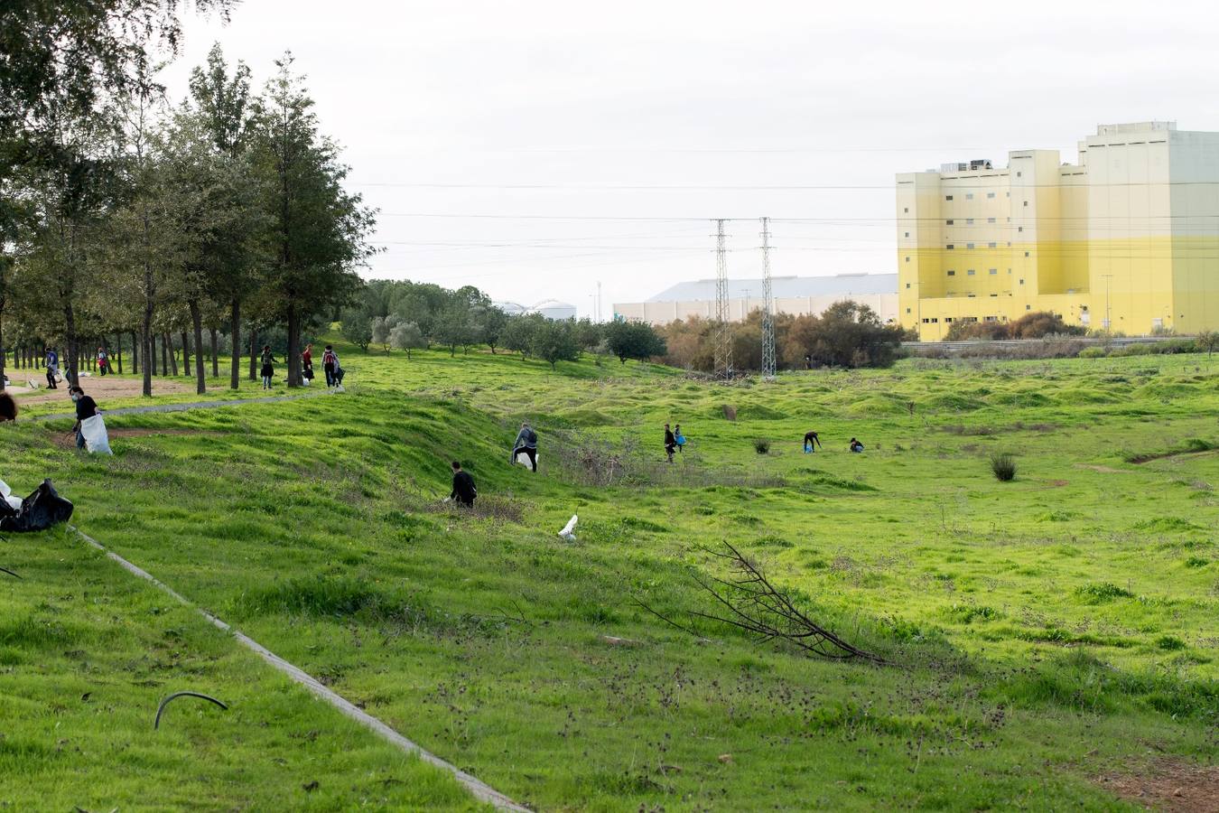 En imágenes, los vecinos de Bellavista limpian los alrededores del Cortijo de Cuarto