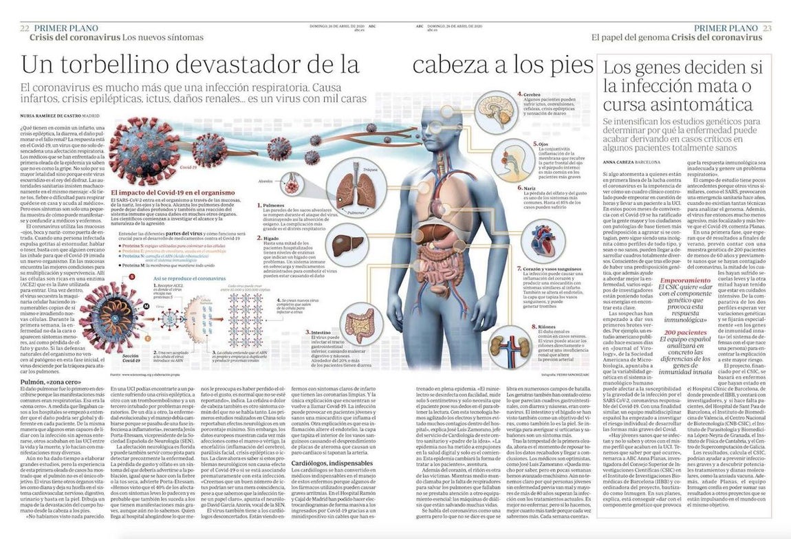 Esta página, junto con otras dos más, premio en el apartado «Coronavirus. Infografía», dentro de la categoría «Páginas de información». 