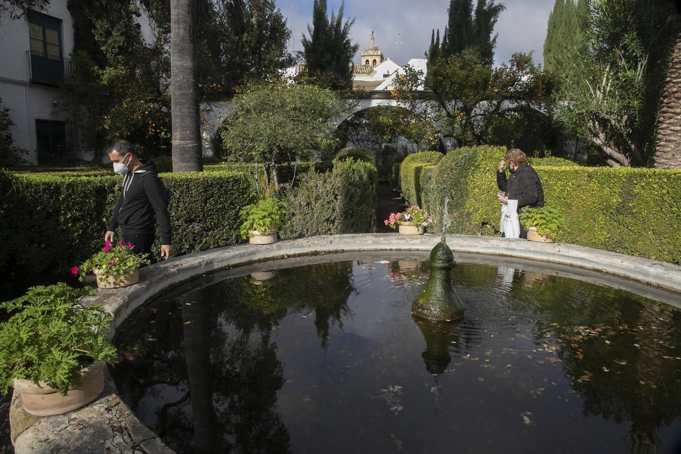 Las visitas gratuitas al Palacio de Viana de Córdoba, en imágenes