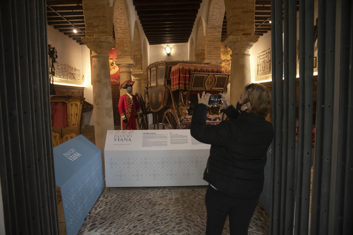 Las visitas gratuitas al Palacio de Viana de Córdoba, en imágenes