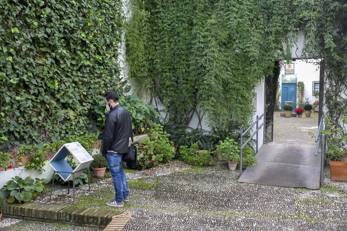 Las visitas gratuitas al Palacio de Viana de Córdoba, en imágenes