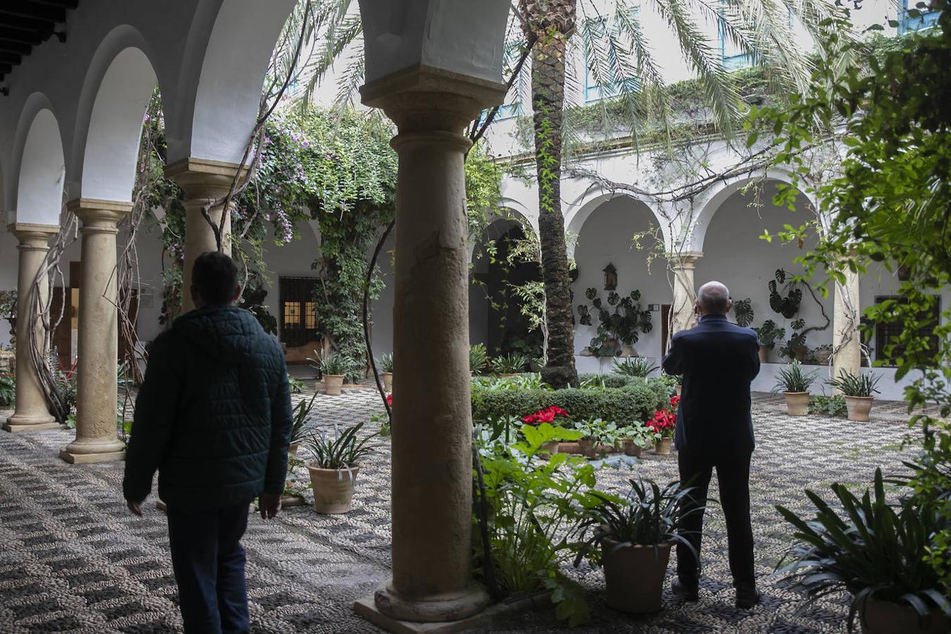 Las visitas gratuitas al Palacio de Viana de Córdoba, en imágenes