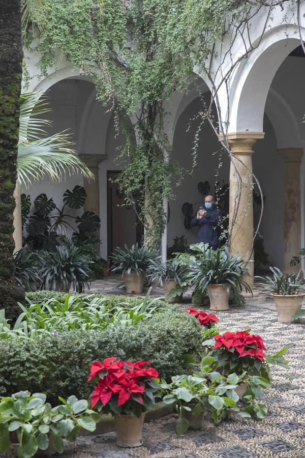 Las visitas gratuitas al Palacio de Viana de Córdoba, en imágenes