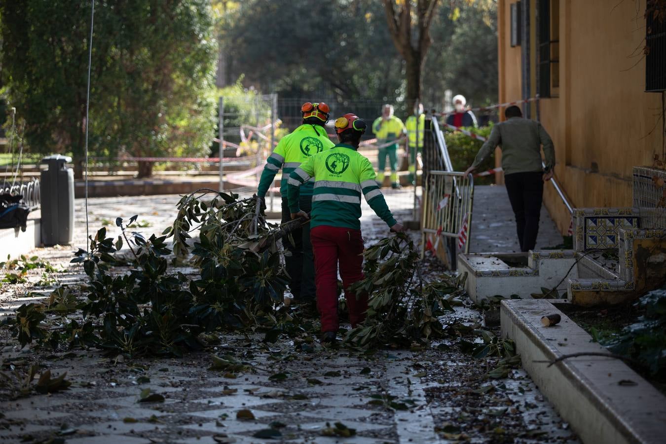 Los Jardines de Murillo se acicalan para su reapertura