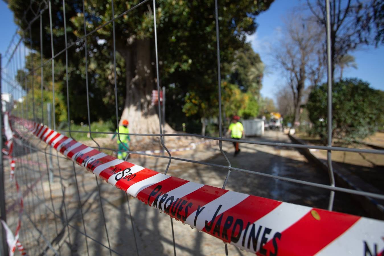 Los Jardines de Murillo se acicalan para su reapertura