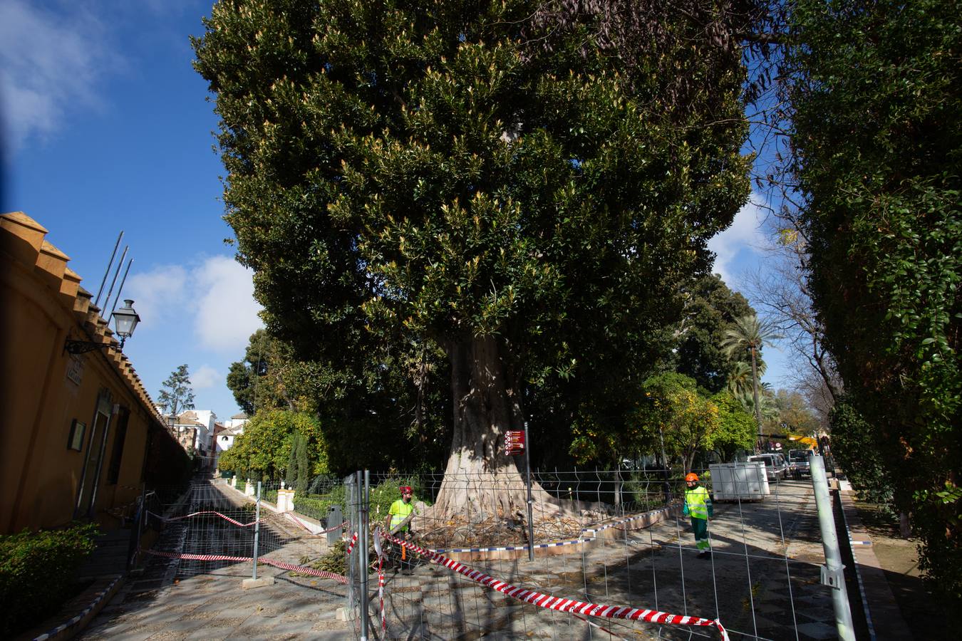 Los Jardines de Murillo se acicalan para su reapertura