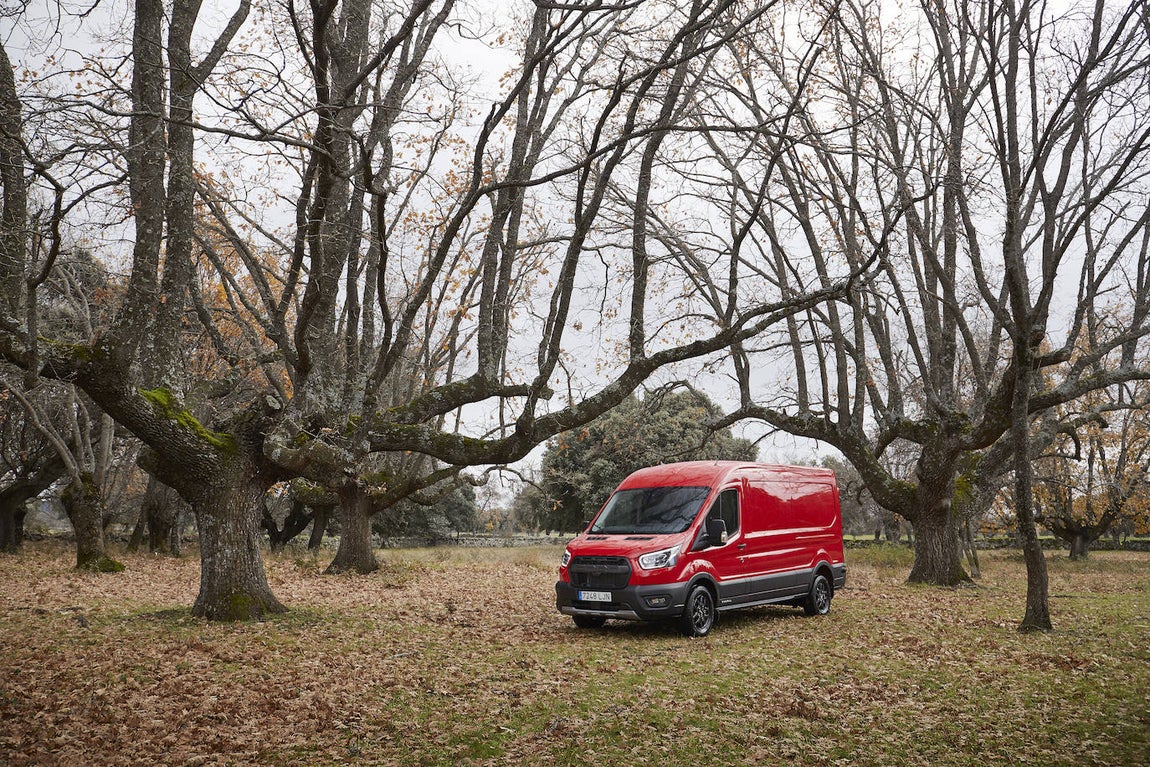 Fotogalería: Ford Transit Trail y Tourneo Active