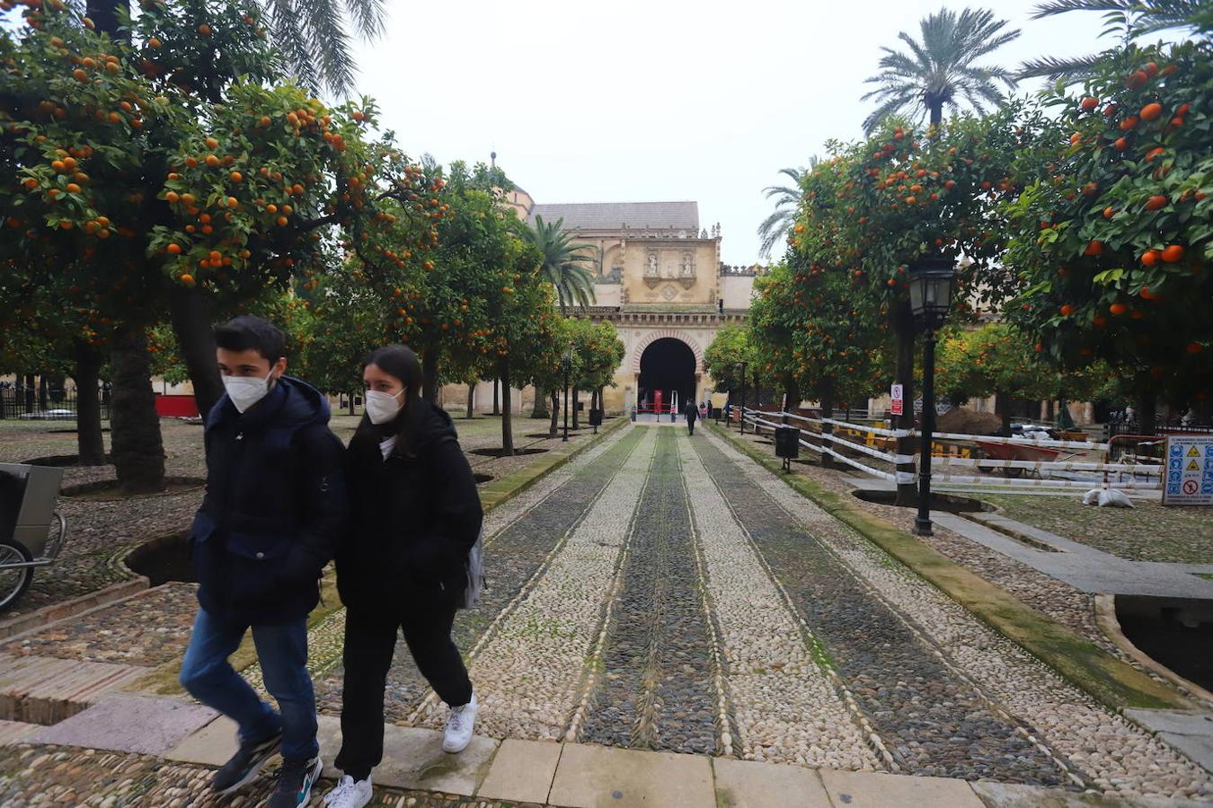 La reapertura de la Mezquita-Catedral de Córdoba, en imágenes