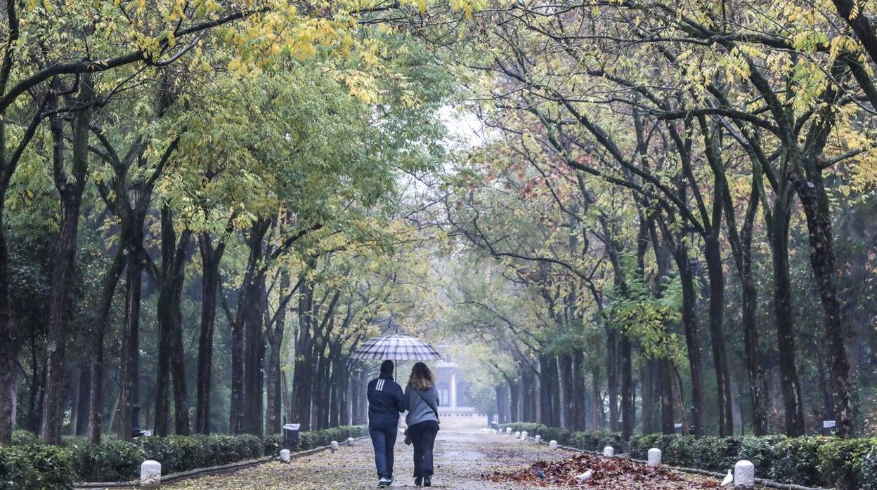 Estampas de otoño en Sevilla