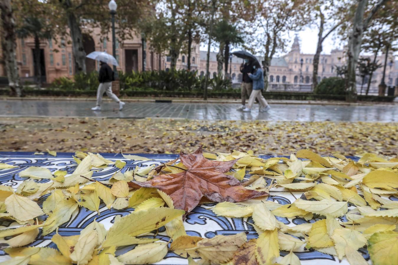 Estampas de otoño en Sevilla