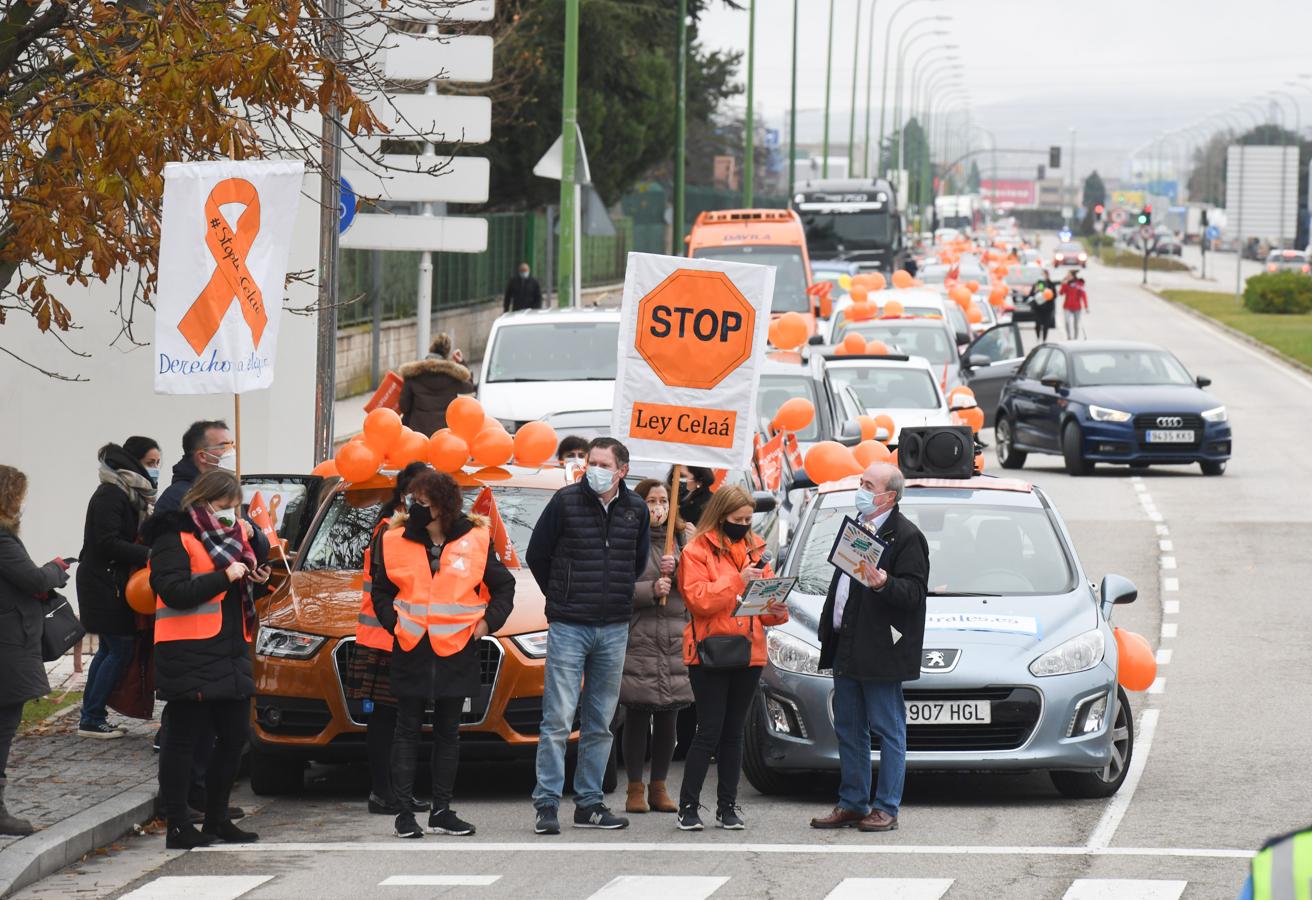 Manifestación en coche en Burgos. 