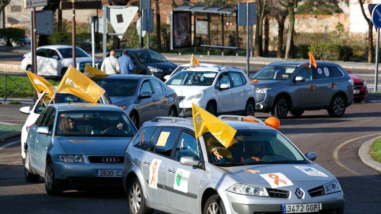 La protesta en Toledo contra la «ley Celaá», en imágenes