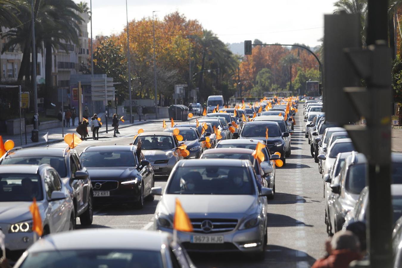 La manifestación contra la Ley Celaá en Córdoba, en imágenes