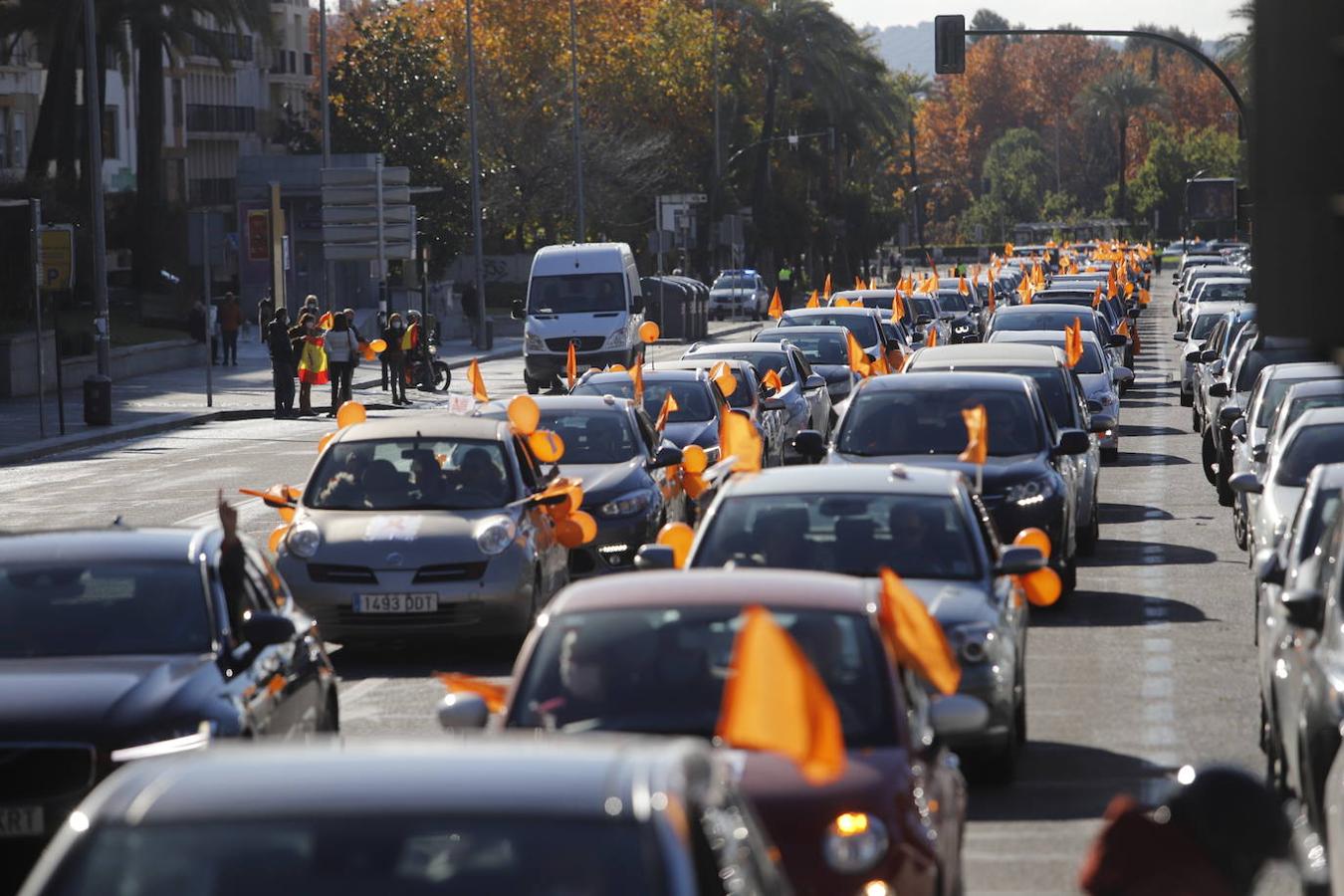 La manifestación contra la Ley Celaá en Córdoba, en imágenes