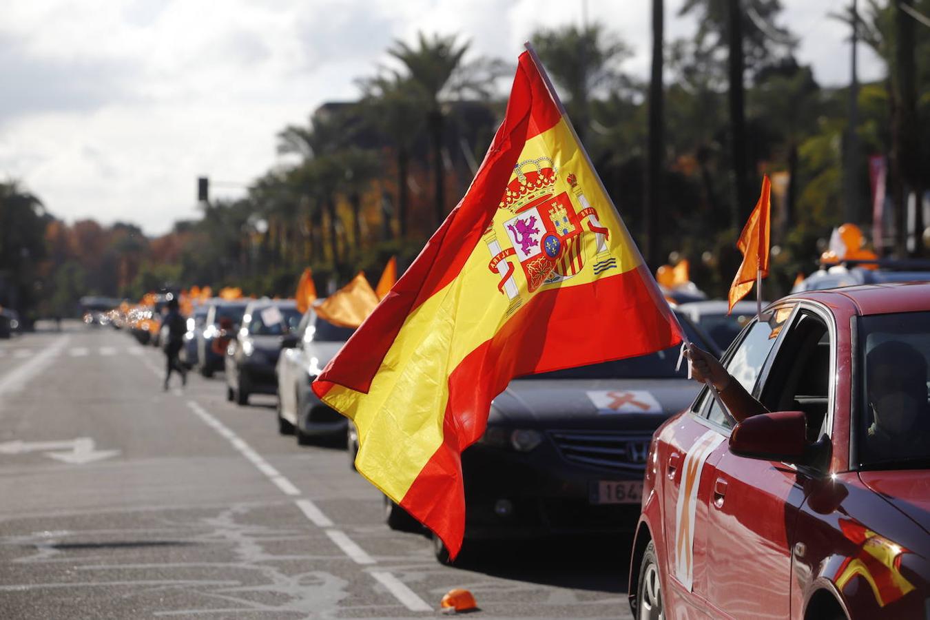 La manifestación contra la Ley Celaá en Córdoba, en imágenes