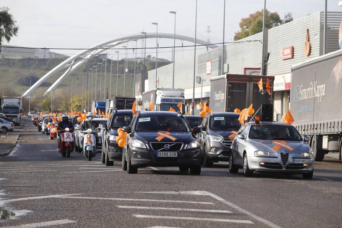 La manifestación contra la Ley Celaá en Córdoba, en imágenes