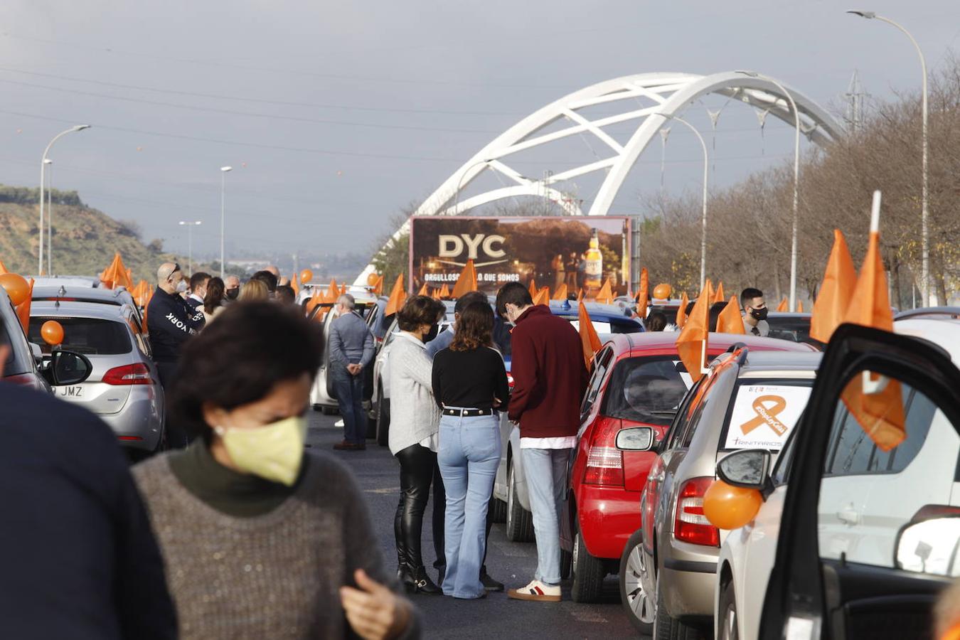 La manifestación contra la Ley Celaá en Córdoba, en imágenes