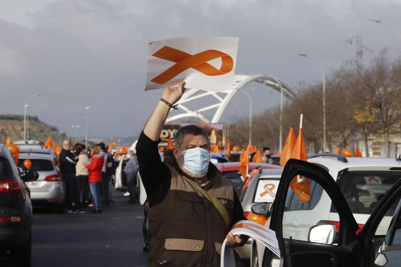 La manifestación contra la Ley Celaá en Córdoba, en imágenes