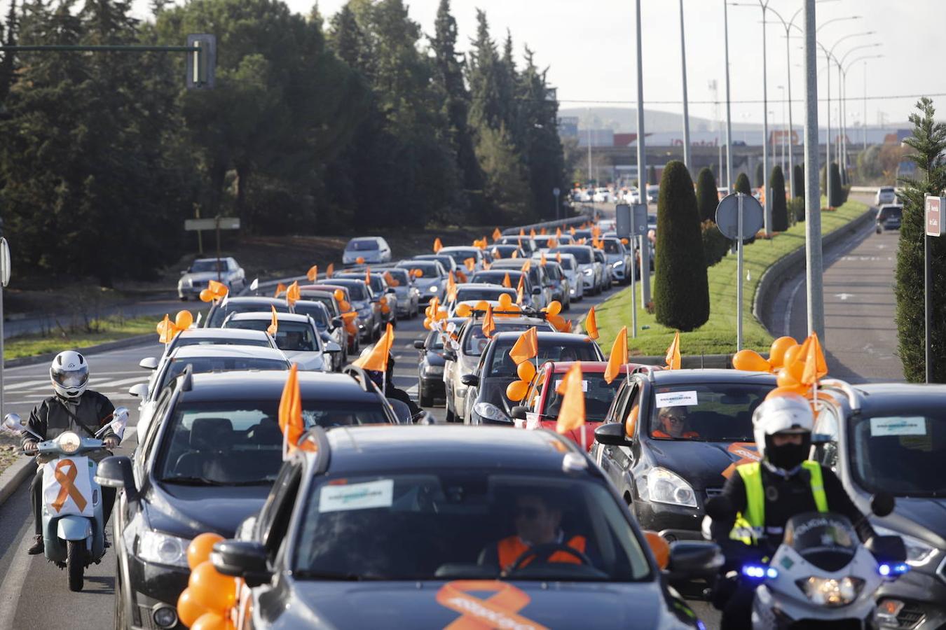 La manifestación contra la Ley Celaá en Córdoba, en imágenes