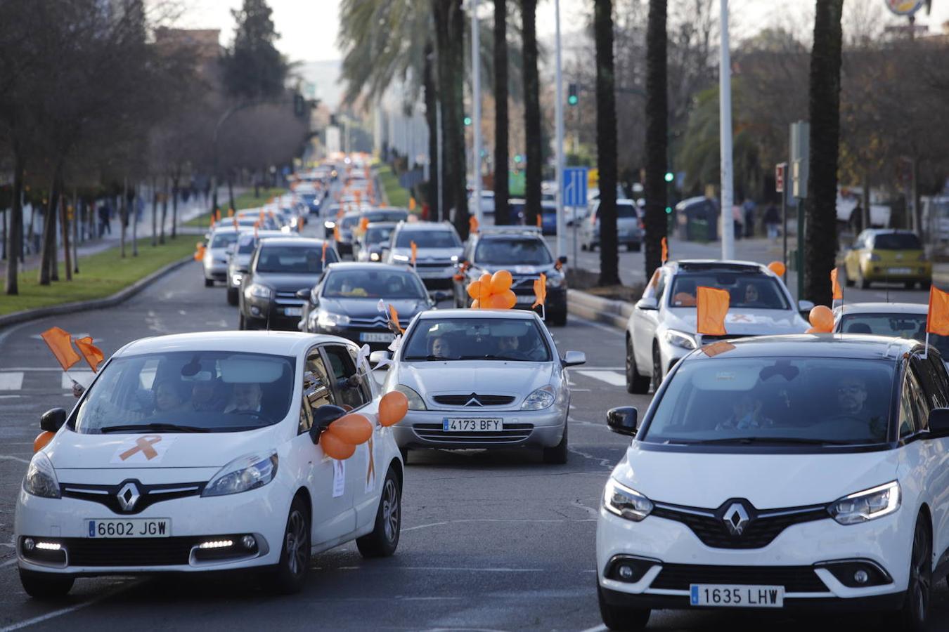 La manifestación contra la Ley Celaá en Córdoba, en imágenes