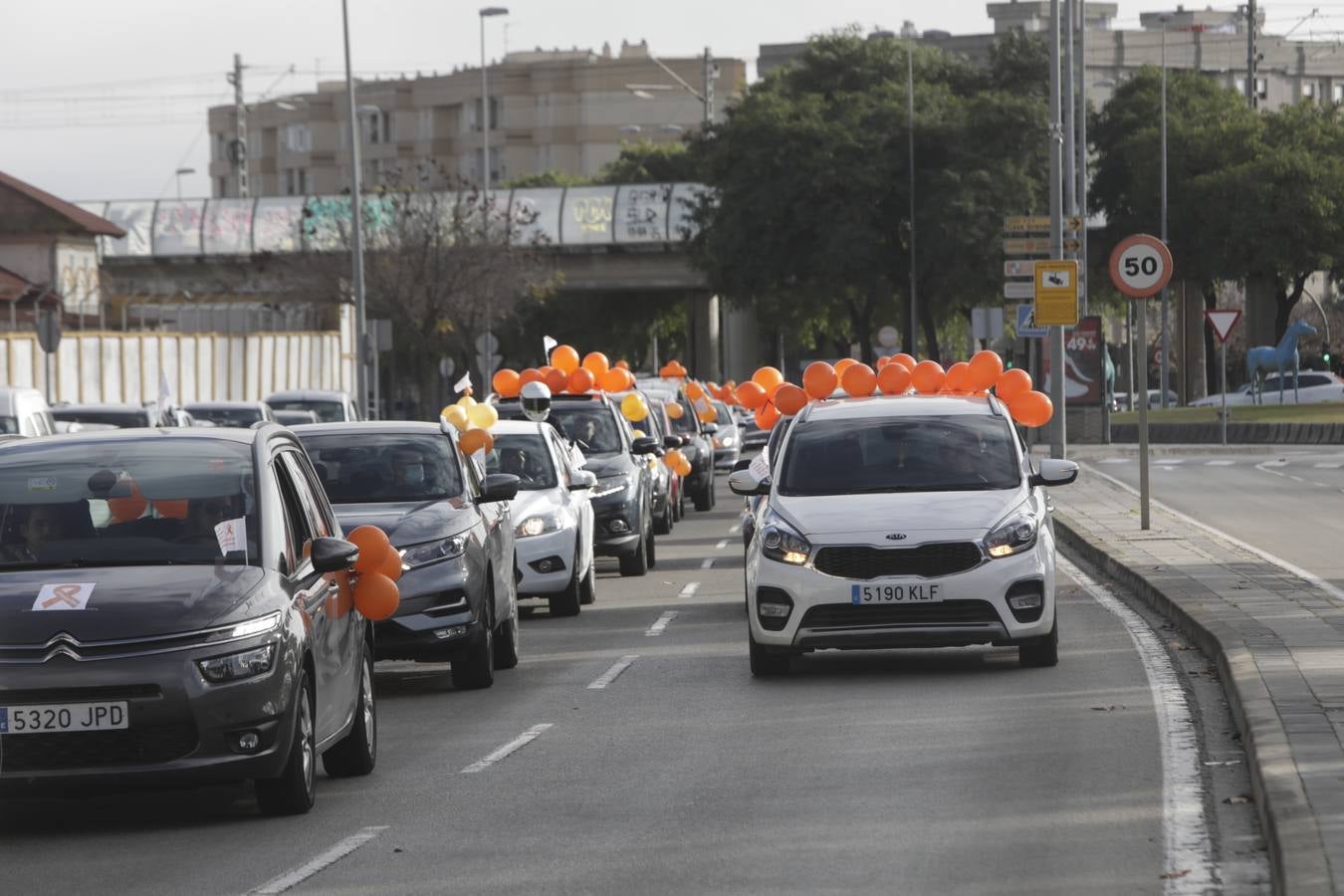 Caravana de coches contra la Ley Celaá en Jerez