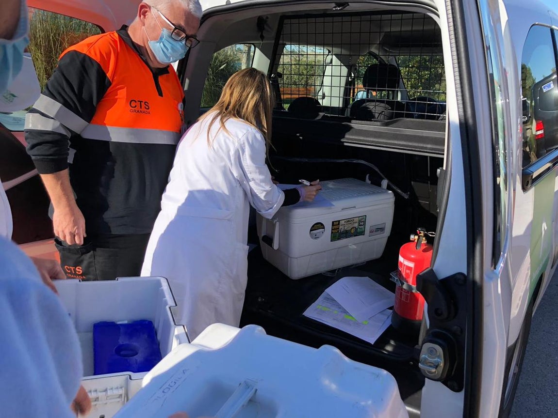 Fotos: Las primeras vacunaciones en Residencial Lago de Arcos