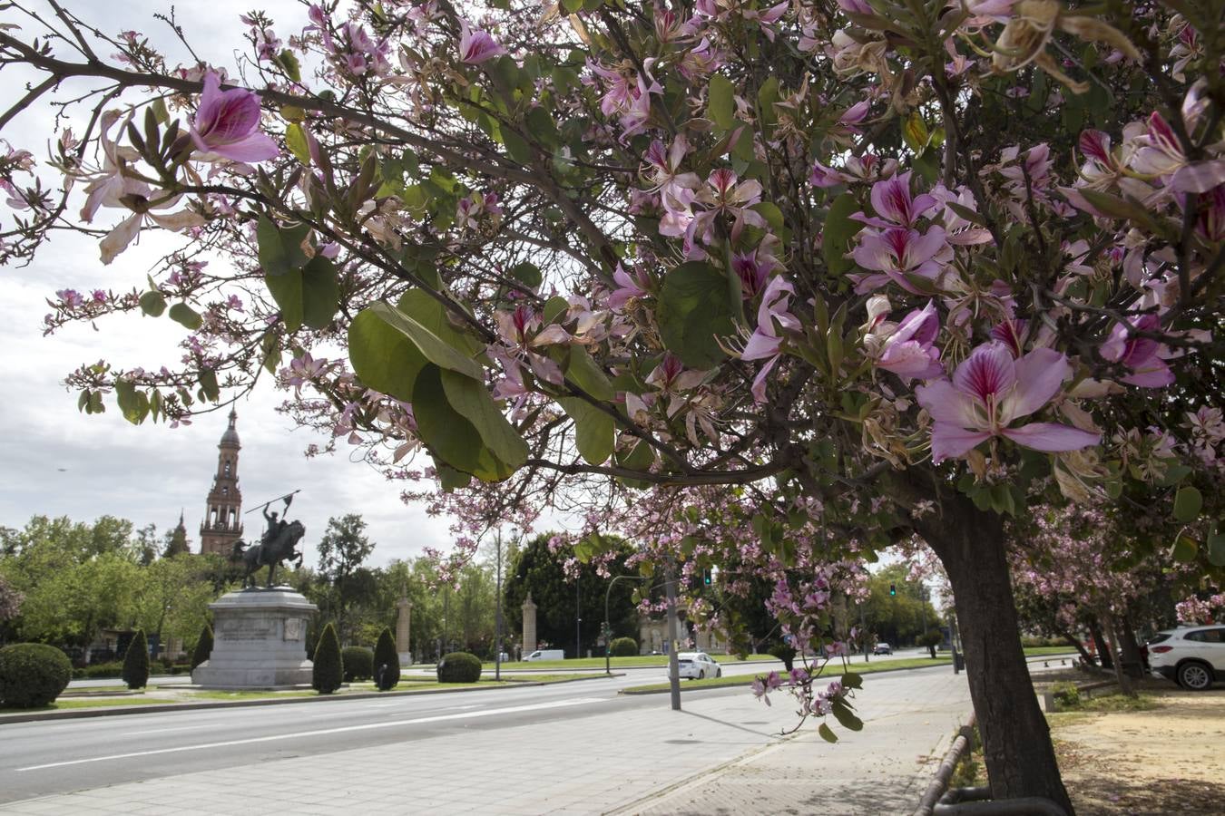 Monumentos de la ciudad completamente vacíos durante el estado de alarma