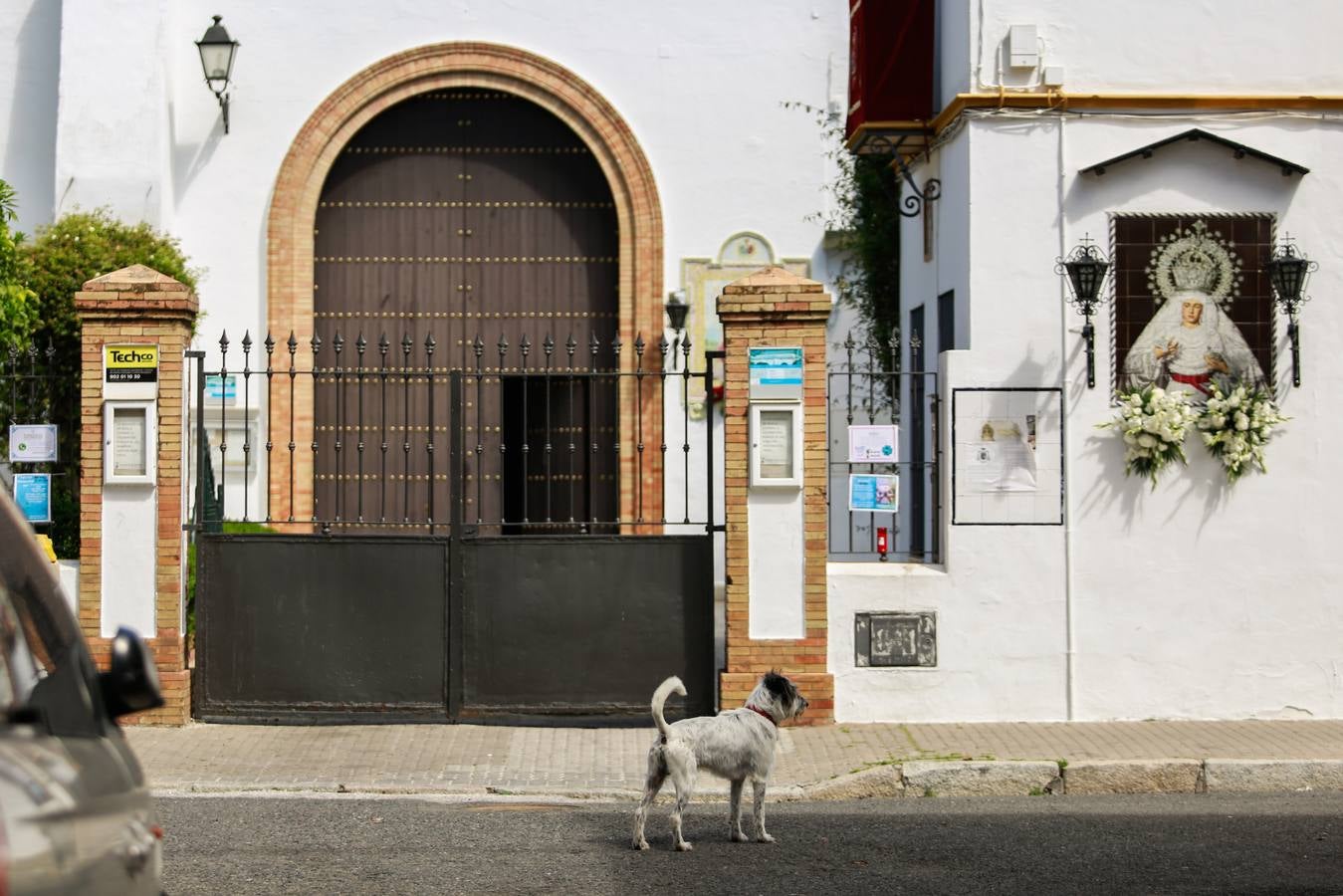 La Semana santa de 2020 será recordada por la suspensión de las procesiones