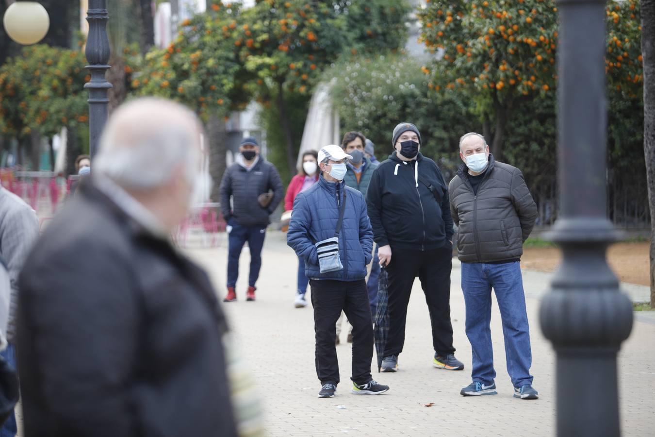 El cribado masivo por coronavirus en el Paseo de la Victoria, en imágenes