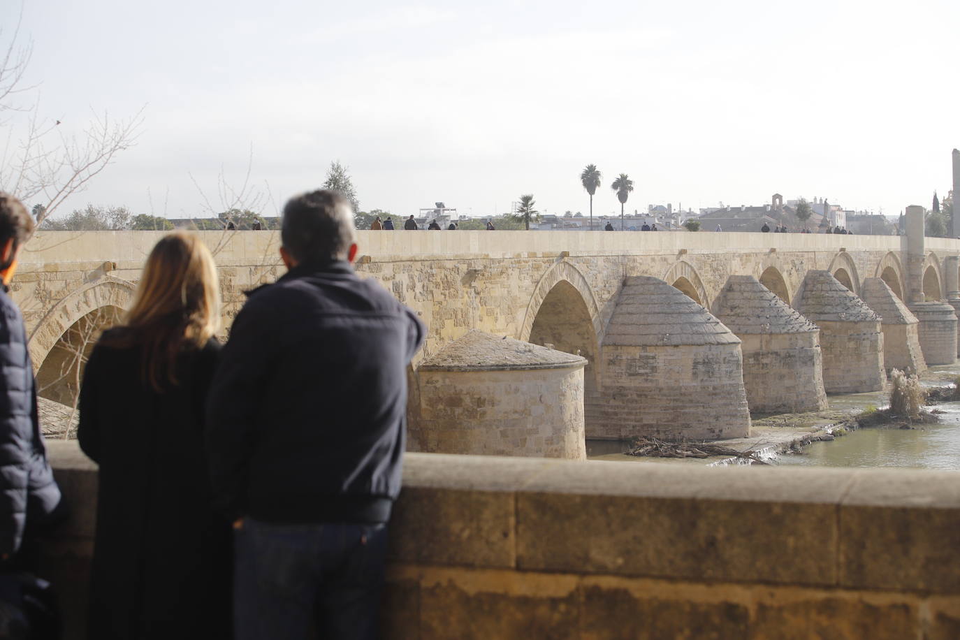 La situación del Puente Romano de Córdoba, en imágenes