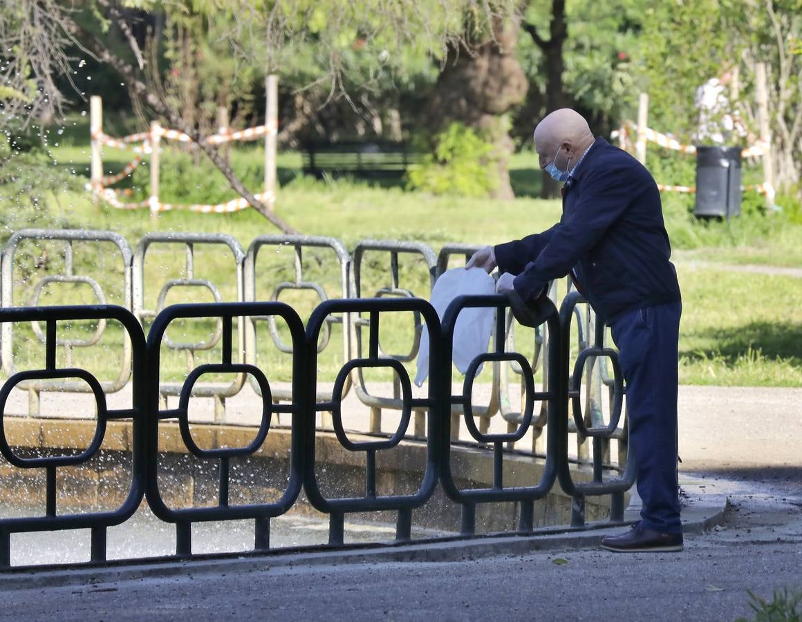 Levantamiento de restricciones durante el confinamiento en el primer estado de alarma en Sevilla