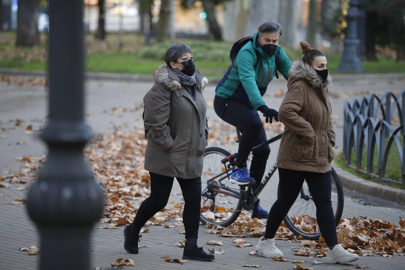 El frío invernal en las calles de Córdoba, en imágenes