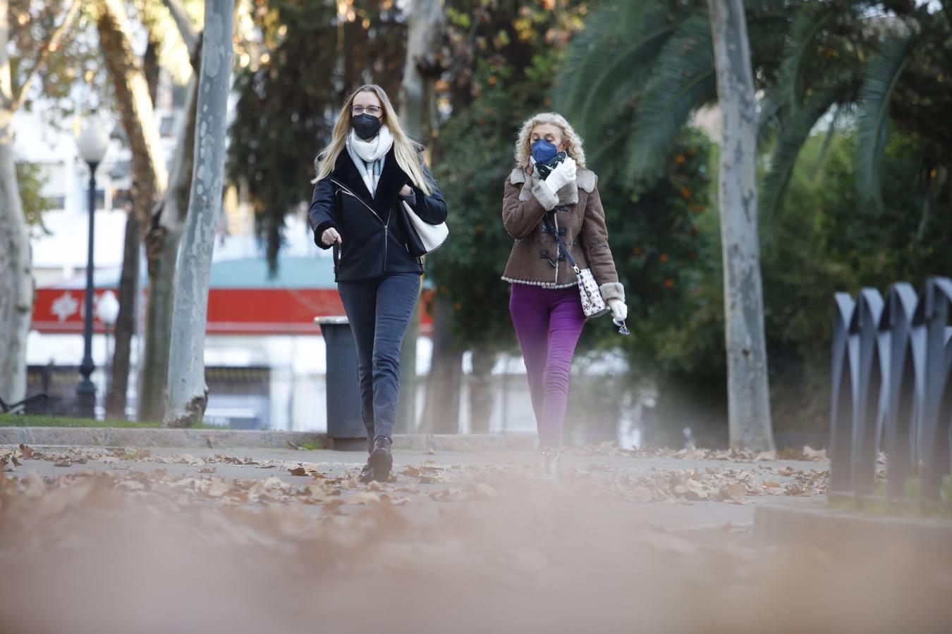 El frío invernal en las calles de Córdoba, en imágenes