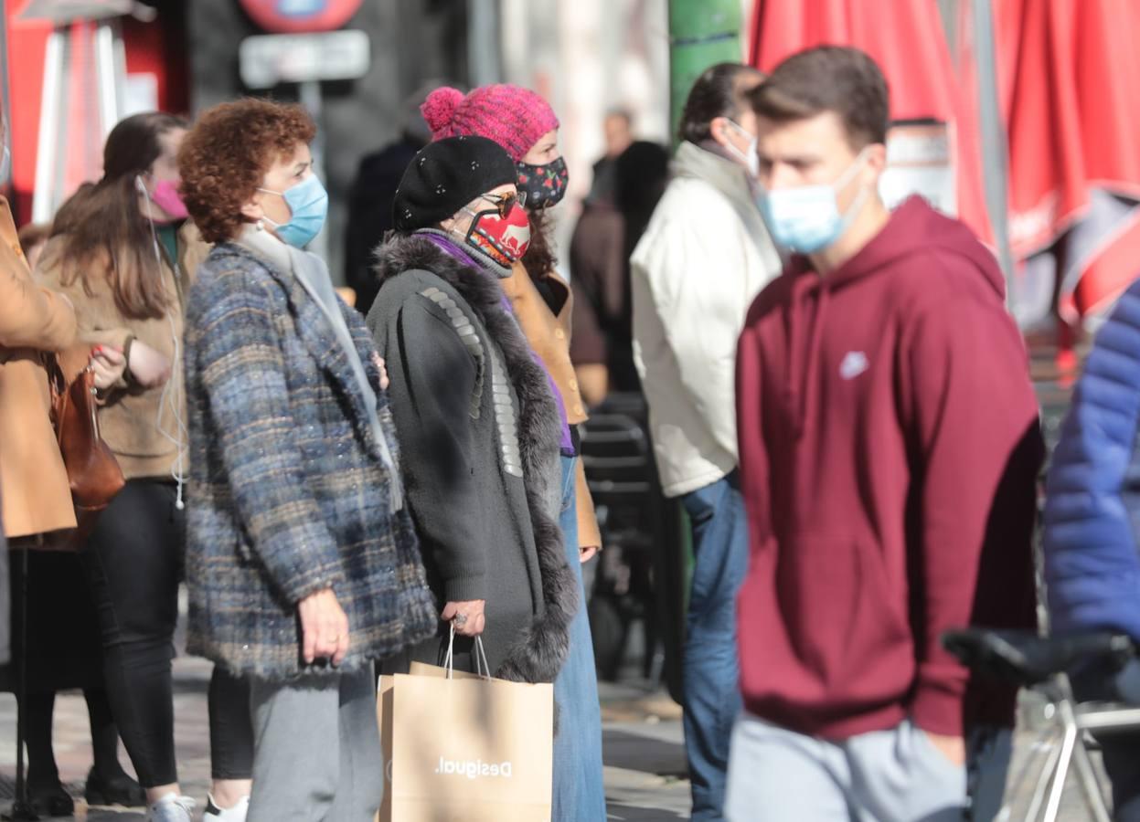 En imágenes, primer fin de semana del año con temperaturas bajo cero en Sevilla